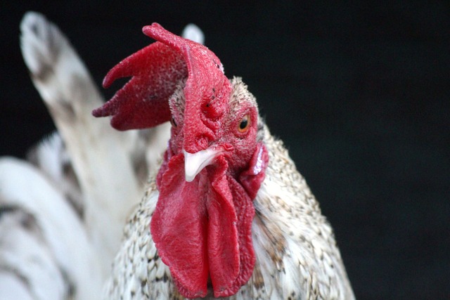 体现 体现